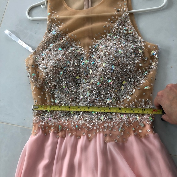Terani Couture Pink Crystal illusion Dress-BNWT - Picture 10 of 10